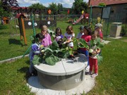 Zahradničíme ve školce